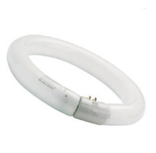 Sylvania T9 FC22W/368 Schwarzlicht Ringröhre G10q, 000456 für Insektenbekämpfung