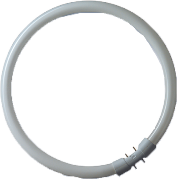 RADIUM  Leuchtstofflampe BonaluxRing  NL-T5 22W/840C/2GX13
