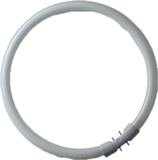 RADIUM  Leuchtstofflampe BonaluxRing  NL-T5 22W/840C/2GX13