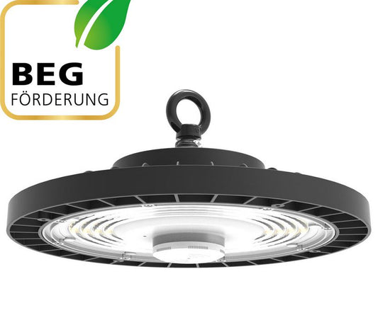 EVN Hallenleuchte HBM6520025 --Musterleuchte--